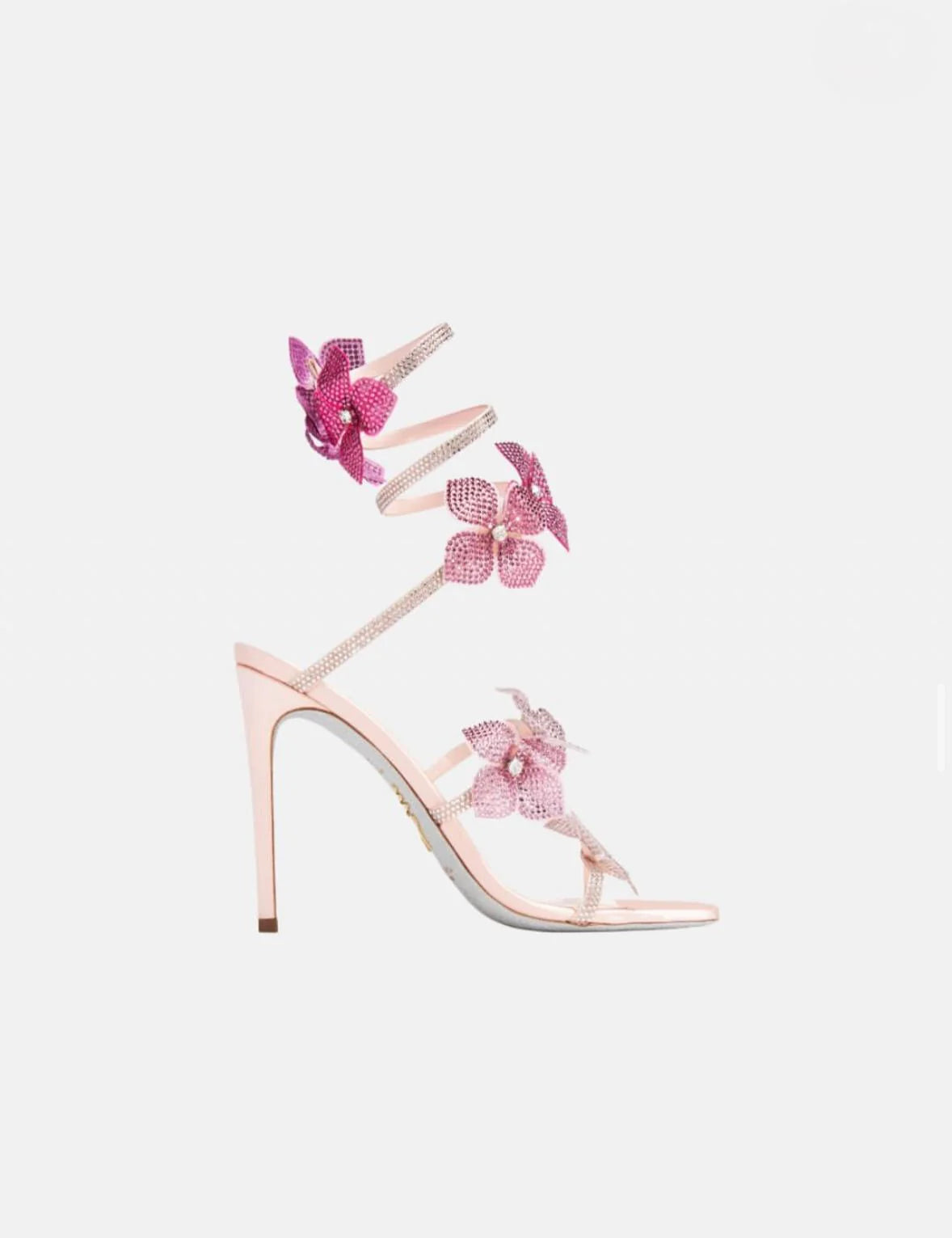 CAOVILLA HEELS BLUME
