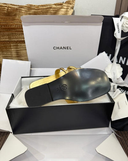 GOLDEN C SLIDES
